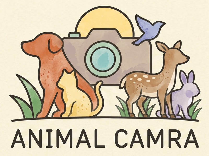 Animal Camra logo: a dog, cat, deer, rabbit and bird around a camera